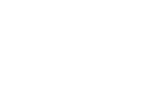 Ace Construction