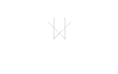 Novus